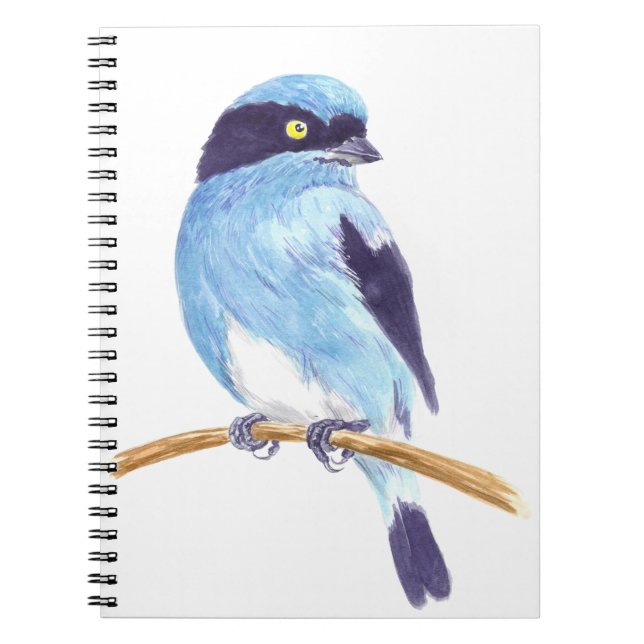 Cuaderno Ave azul (Frente)
