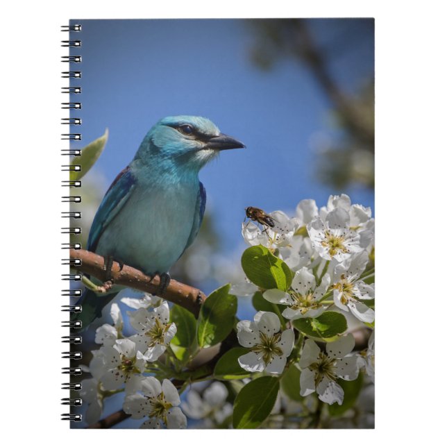 Cuaderno Ave azul en flor (Frente)