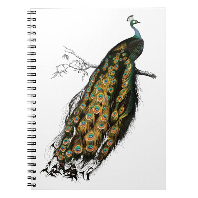 Cuaderno Ave de avena india (Frente)