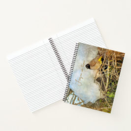Cuaderno Ave De Invierno De Estilo Paintero Con Texto De Pe