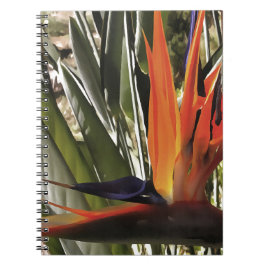 Cuaderno Ave del Paraíso Strelitzia Reginae Acrílico Painti