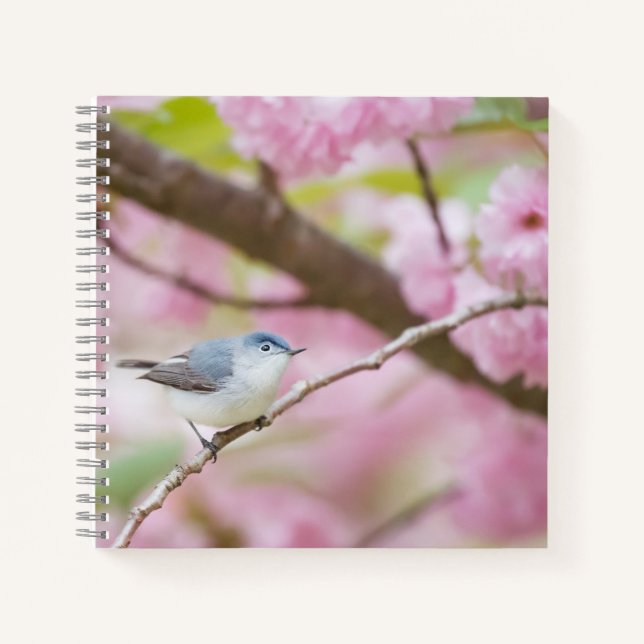 Cuaderno Ave en árbol de flores rosadas (Anverso)