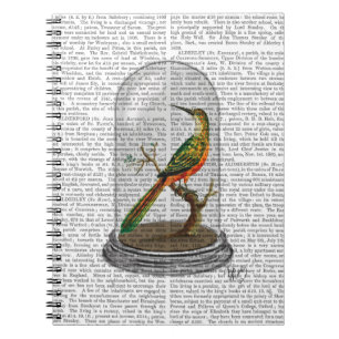 Cuaderno Ave En Bell Jar