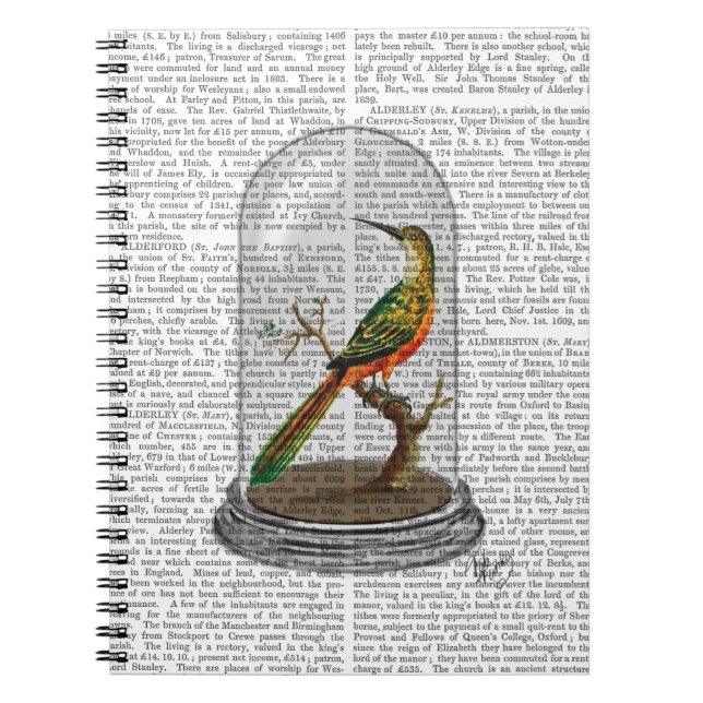 Cuaderno Ave En Bell Jar (Frente)