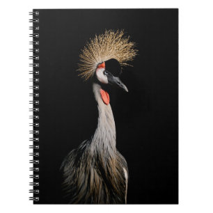 CUADERNO AVE EN BRASIL