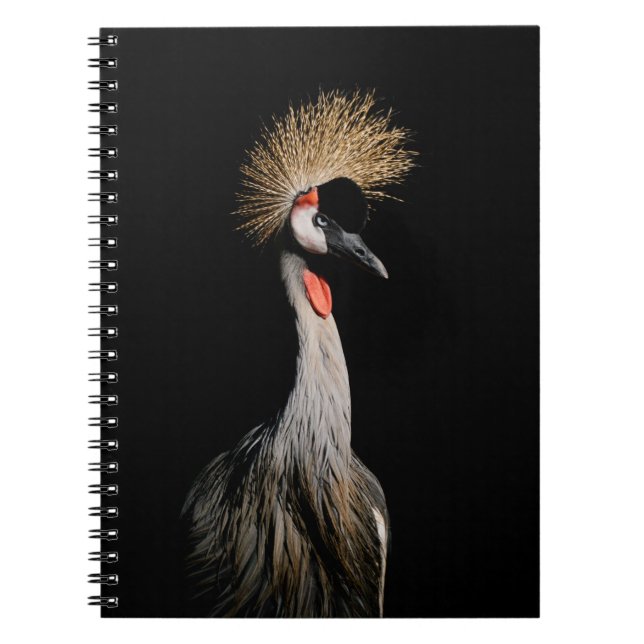 CUADERNO AVE EN BRASIL (Frente)