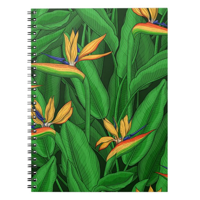 Cuaderno Ave nocturna del paraíso del jardín (Frente)