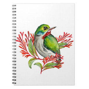 Cuaderno Ave tropical colorida de color acuático