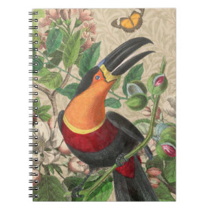 Cuaderno Ave Tropical De La Selva Turca Hermosa Antigüedad