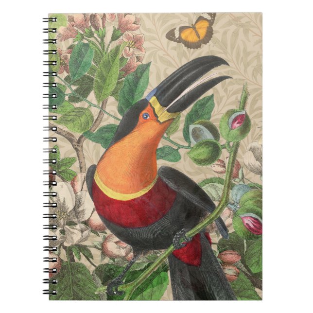 Cuaderno Ave Tropical De La Selva Turca Hermosa Antigüedad (Frente)