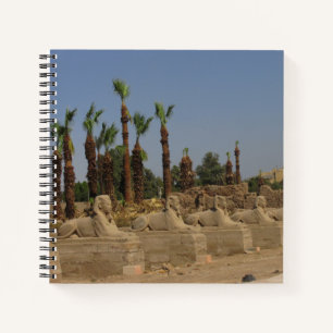 Cuaderno Avenida de Esfinges