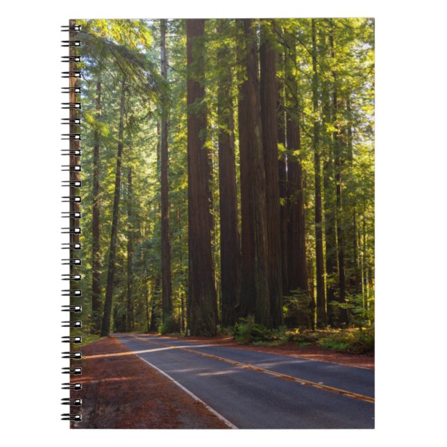 Cuaderno Avenida de la secoya gigante California (Frente)