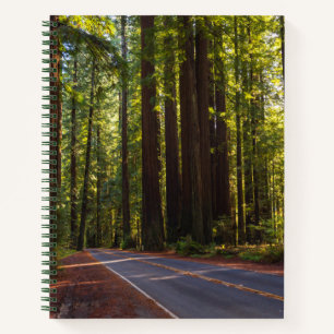 Cuaderno Avenida de la secuoya gigante California