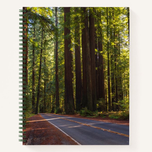 Cuaderno Avenida de la secuoya gigante California (Anverso)