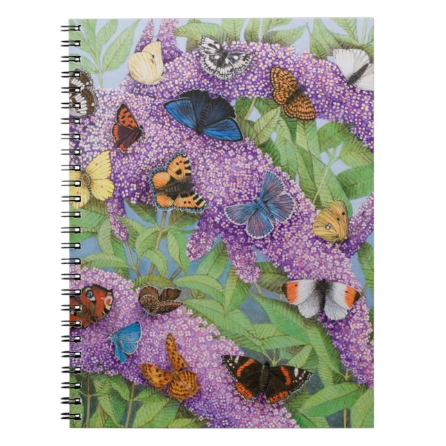 Cuaderno Aventura de 2011 (Frente)