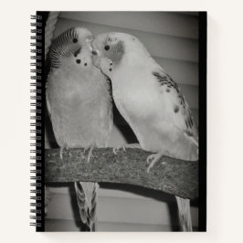 Cuaderno Aves