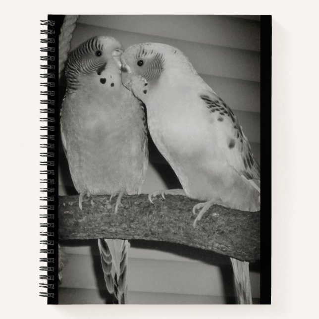 Cuaderno Aves (Anverso)