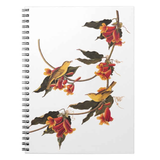 Cuaderno Aves cantantes de la bruja amarilla en una encruci (Frente)
