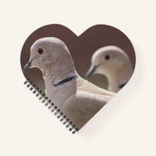 Cuaderno Aves de amor