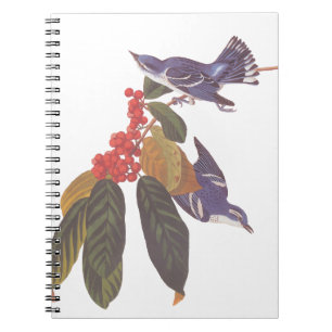 Cuaderno Aves de Audubon con bayas de oso