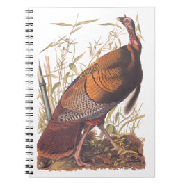 Cuaderno Aves de Audubon de Estados Unidos salvajes Turquía
