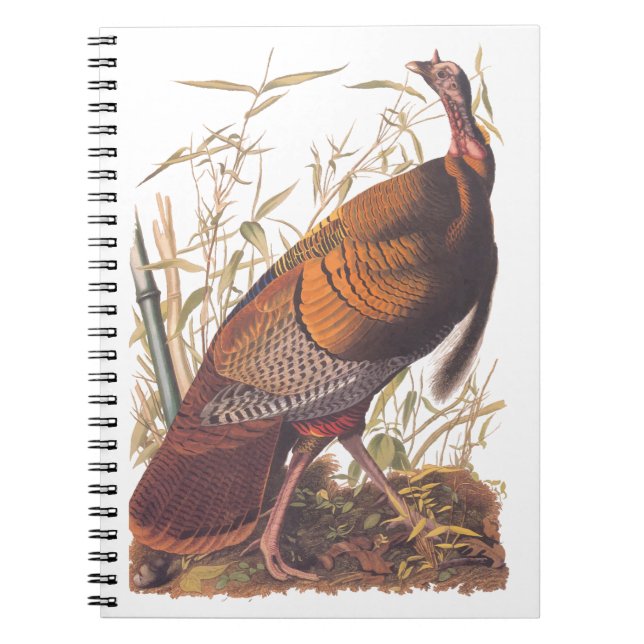 Cuaderno Aves de Audubon de Estados Unidos salvajes Turquía (Frente)