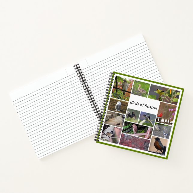 Cuaderno Aves de Boston (Interior)