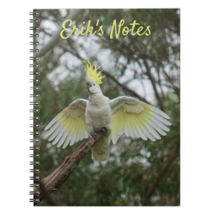 Cuaderno Aves de Cockatoo