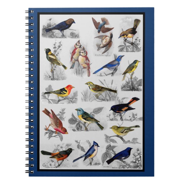 Cuaderno Aves de época (Frente)