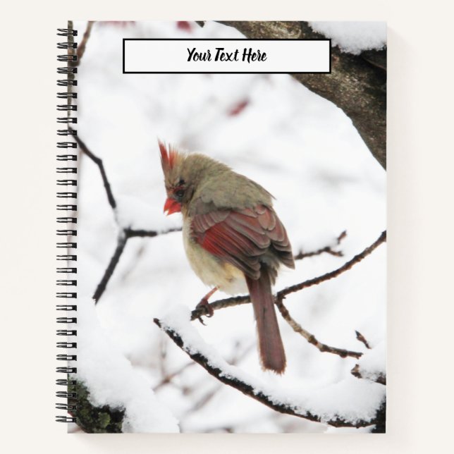Cuaderno Aves de Invierno (Anverso)