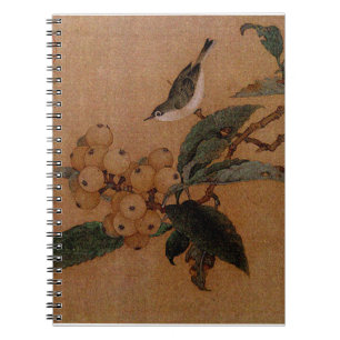 Cuaderno Aves de montaña y loquetas
