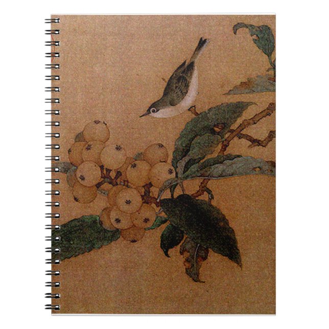 Cuaderno Aves de montaña y loquetas (Frente)
