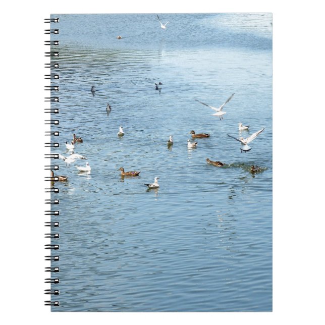 Cuaderno Aves En El Río De Verano (Frente)