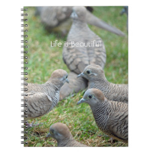 Cuaderno Aves Kauai (mi fotografía)