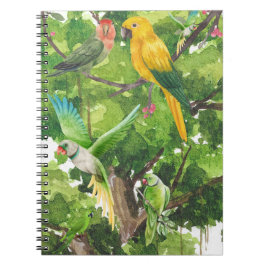 Cuaderno aves, loros