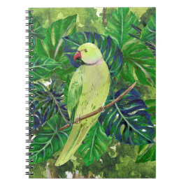 Cuaderno aves, loros