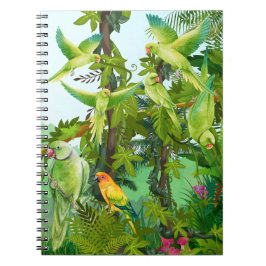 Cuaderno aves, loros