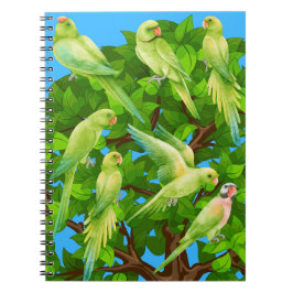 Cuaderno aves, loros