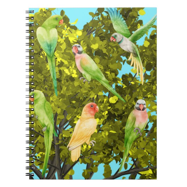 Cuaderno aves, loros (Frente)