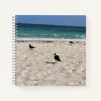 Cuaderno Aves marinas & Garabatos