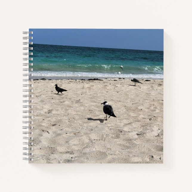 Cuaderno Aves marinas & Garabatos (Anverso)