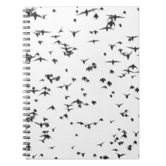 CUADERNO AVES NEGRAS VOLANDO EN EL CIELO