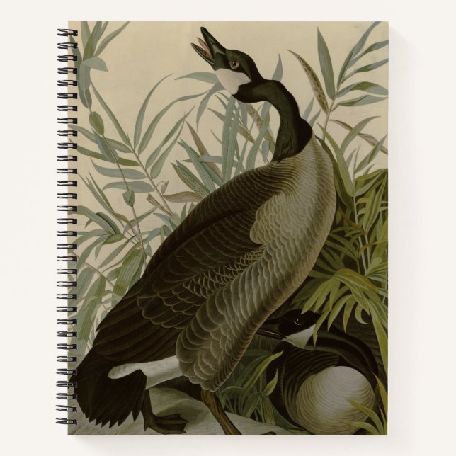 Cuaderno Aves silvestres de Cría de Canadá Audubon (Anverso)