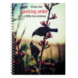 Cuaderno Aves tui peleando en el lino