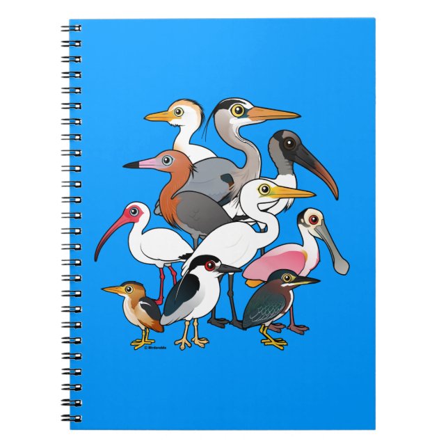 Cuaderno Aves zancudas norteamericanas (Frente)