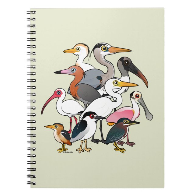 Cuaderno Aves zancudas norteamericanas (Frente)