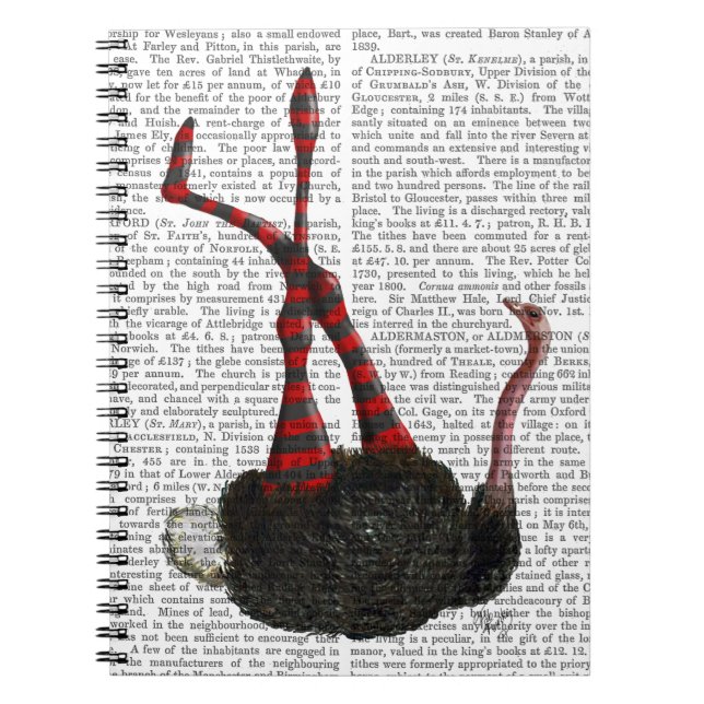 Cuaderno avestruz con piernas a rayas (Frente)