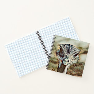 Cuaderno avestruz de toony