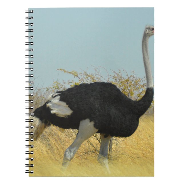 Cuaderno Avestruz sale a correr (Frente)