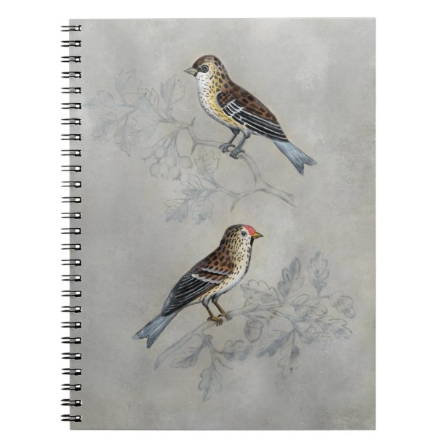 Cuaderno Aviario silencioso | Dos Aves (Frente)